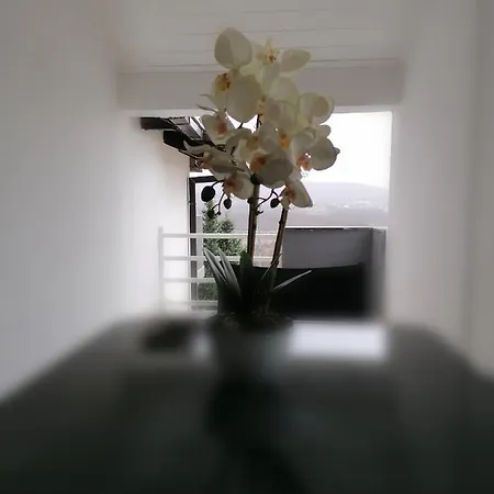 Apartman Marijana Apartamento